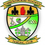 Carrickmacross (Hurling)