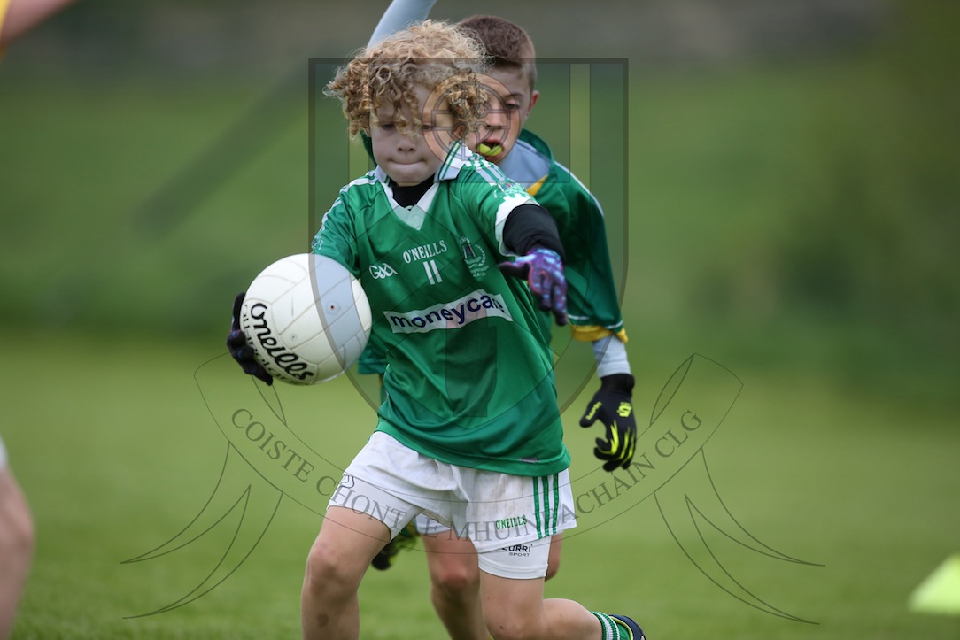 Monaghan GAA U-12 Football Spring League Finals 2014