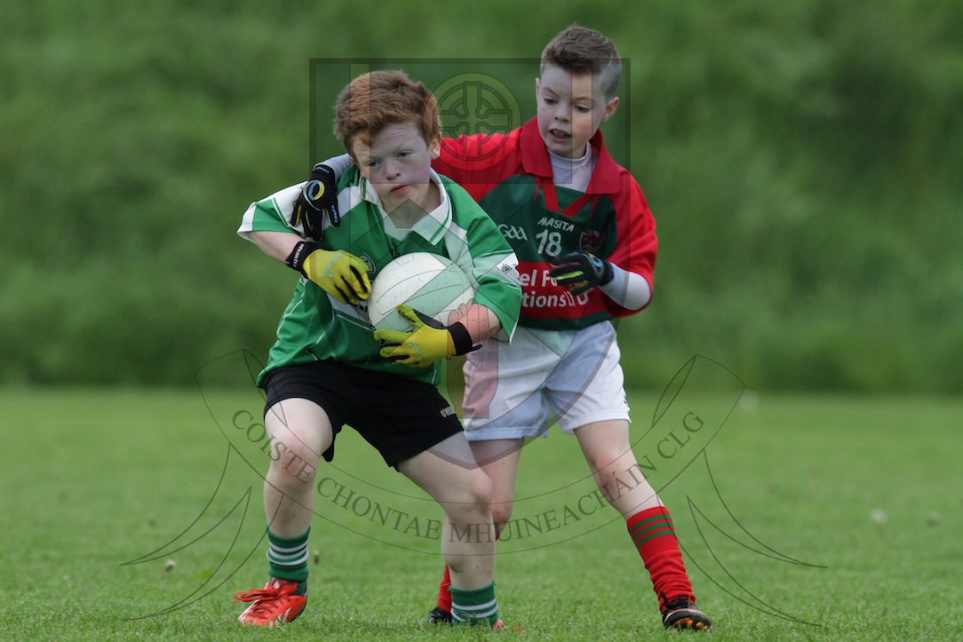 Monaghan GAA Under 12 Spring League Finals 2014