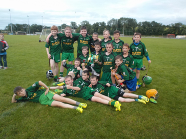 Carrickmacross Hurling Notes