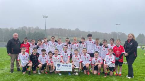 Fantastic Festival Of Football At The Cumann na mBunscol Finals On Saturday