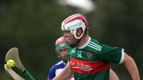 Senior Hurling Quarter-final Roundup